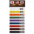 Ten Level Belt Display